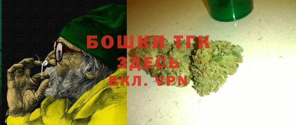 молекула духа Арсеньев
